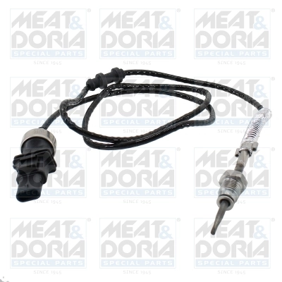 Sensor, exhaust gas temperature